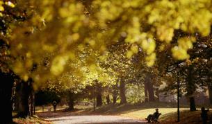 Вторник ще е слънчев