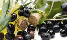  <p>Здравословна диета и робството на XXI век</p> 