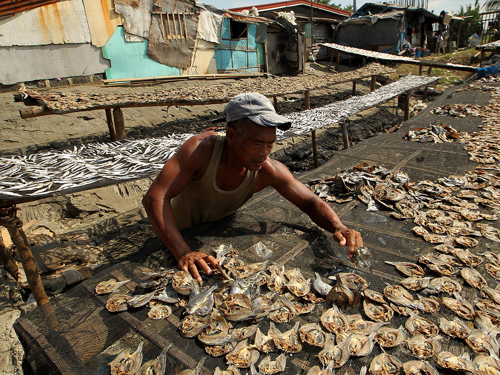 Филипински рибар подрежда сушена риба в рибарско селище, по време на честването на Световния ден на риболова в град Паранака, южно от Манила, Филипините. Световния ден на рибарството се празнува всяка година на 21 ноември