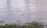 Какво демонстрират пробите на водата в река Марица 