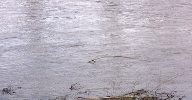 България Извънредна ситуация в Хасковско отровена ли е Марица Няколко