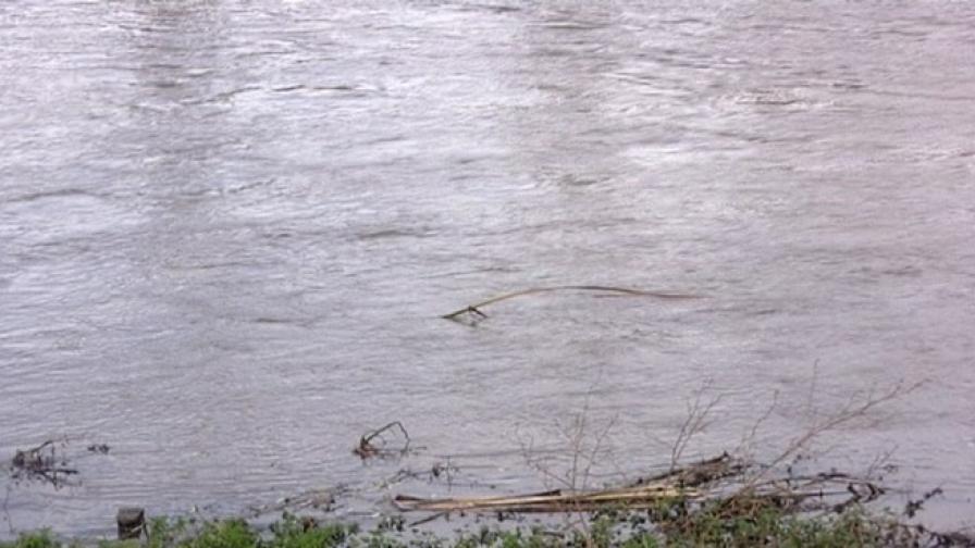  Извънредна обстановка в Хасковско, отровена ли е Марица 