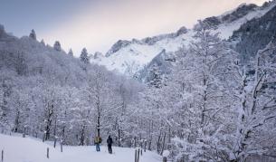 Студът скова цяла Европа и предизвика проблеми