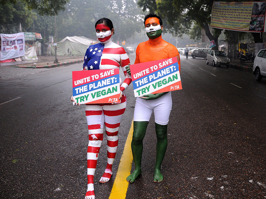 Членове на Хора за етично отношение към животните (PETA) са боядисали телата си в цветовете на индийското и американско знаме, на демонстрация в Ню Делхи, Индия
