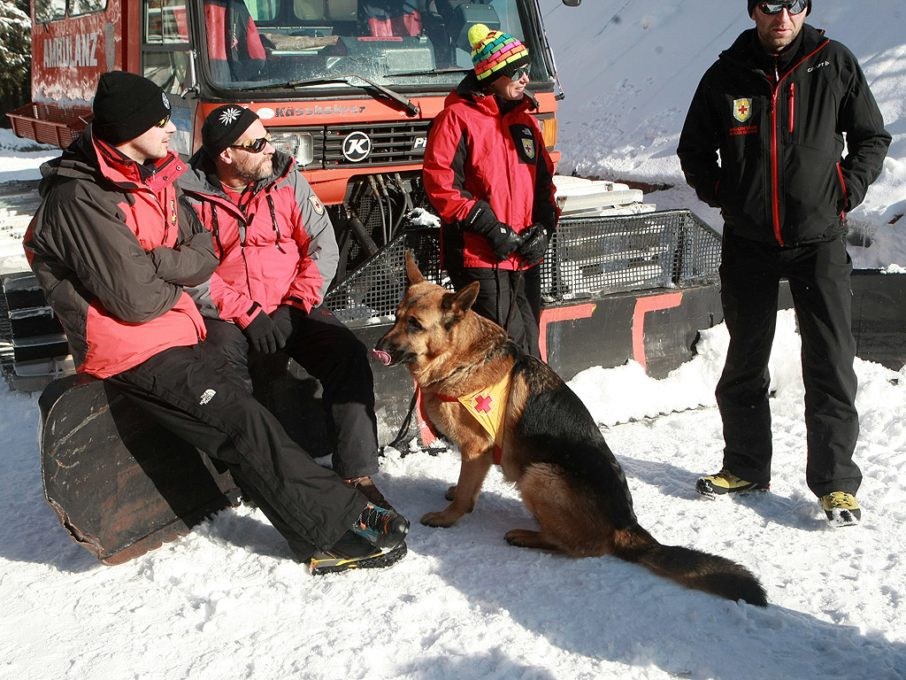 Планинската спасителна служба към БЧК проведе курс за 16 спасители - водачи и техните кучета от отрядите в цялата страна. Събитието се проведе на Витоша в база „Алеко“. Техники за спасяване при зимни условия – търсене на изгубени хора в планината, намиране на затрупани от лавина, и други учебни и тренировъчни упражнения