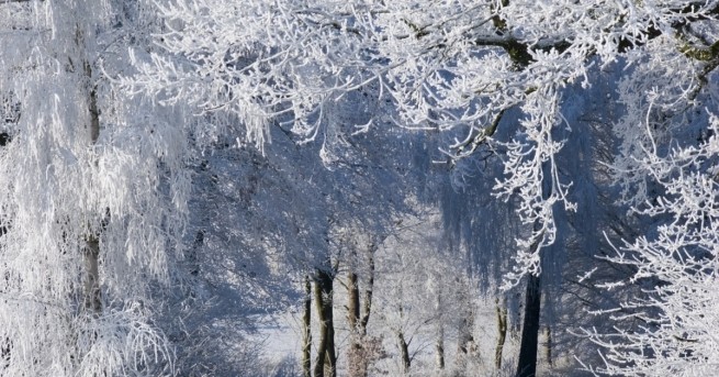 В последния работен ден от тази седмица времето ще остане