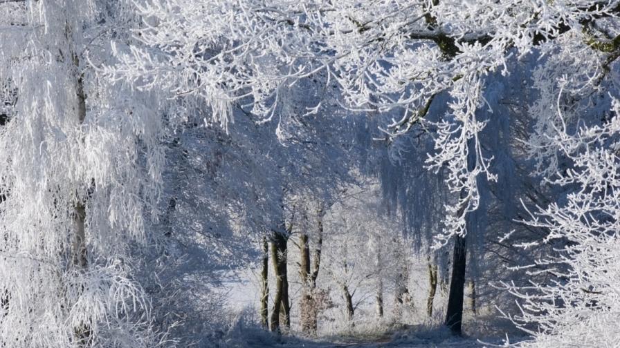24 януари – най-студеният ден от началото на зимата