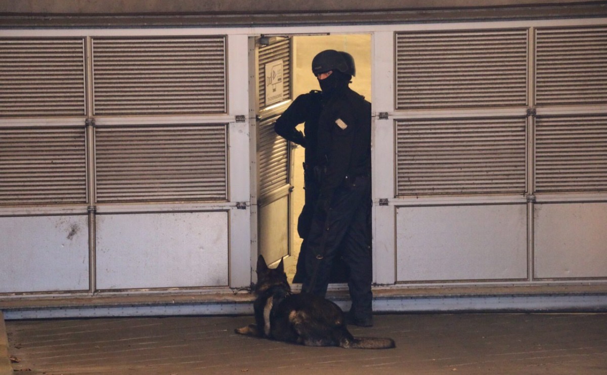 Полицейско куче на мястото на атаката