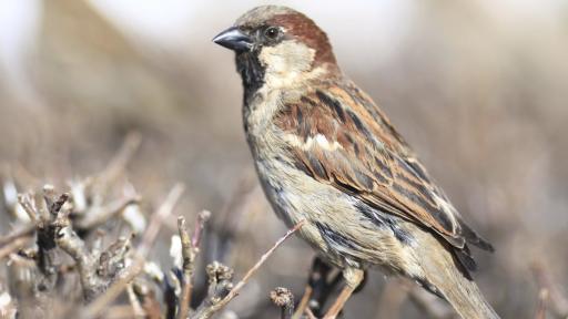 Обрат във времето: Идват валежи и застудяване