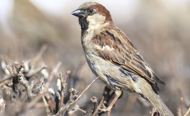 Обрат във времето: Идват валежи и застудяване