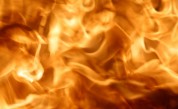 Пожар изпепели емблематична борова гора край Бяла