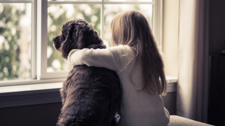  Домашните любимци могат да бъдат най-хубавият другар на детето 