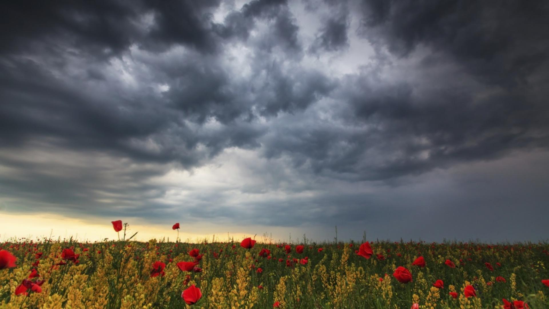 През нощта ще бъде предимно ясно и почти тихо Сутринта