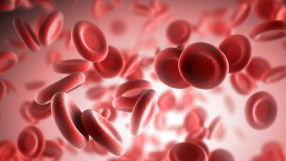 Как изглеждат кръвните ни клетки, погледнати под микроскоп