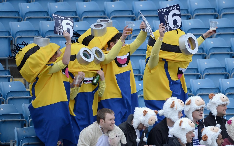 Или просто фенове на крикета. Gulliver/GettyImages