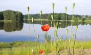 Времето във вторник – слънчево и топло