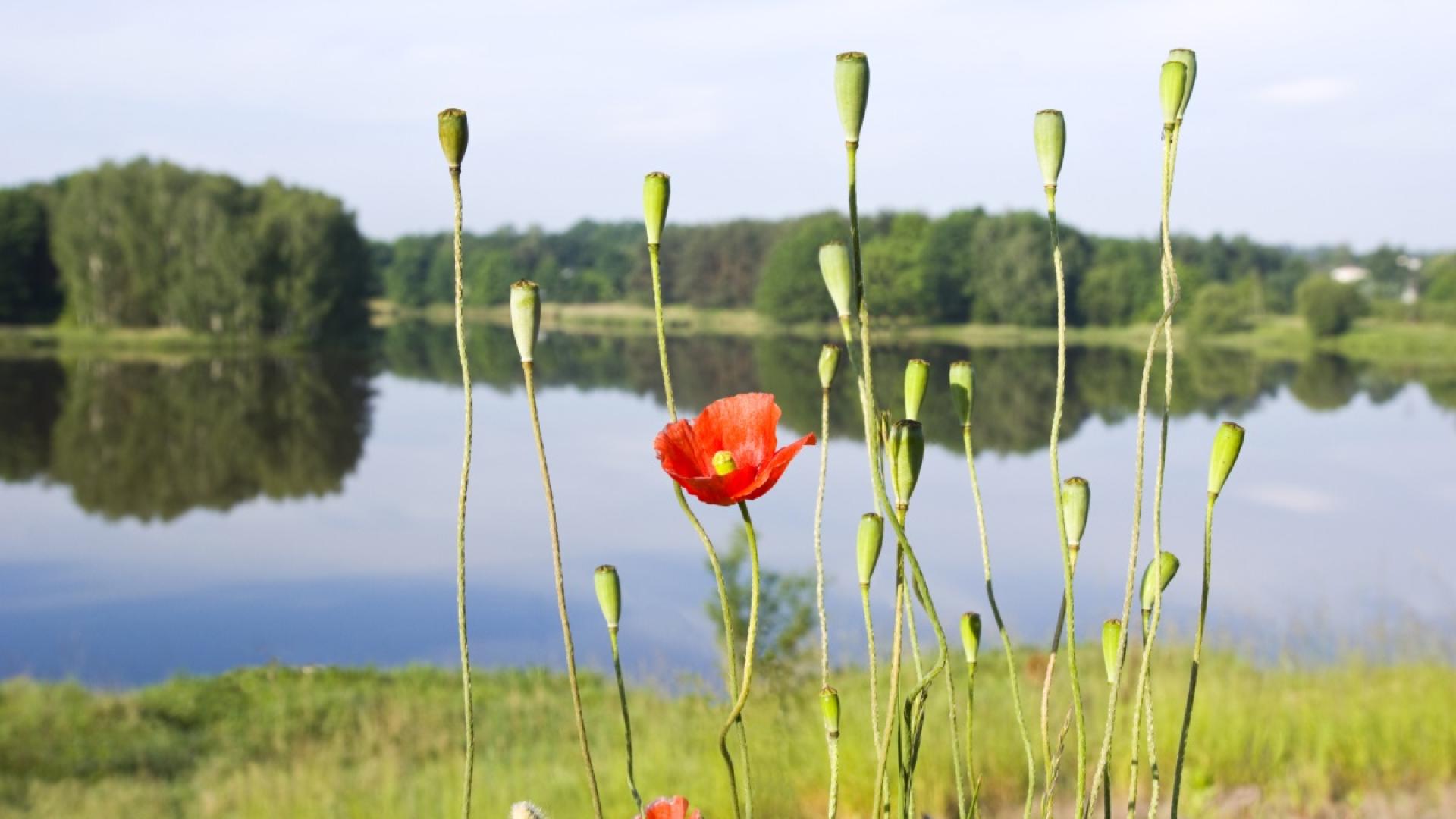 През нощта над по голямата част от страната ще се изясни