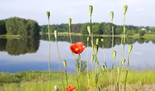 Край на лошото време, около 20 градуса през уикенда