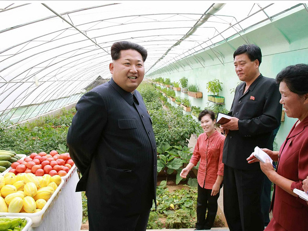 Севернокорейския лидер Ким Чен Ун на инспекция в парникови градини в Растително Кооперативна ферма в Пхенян, Северна Корея