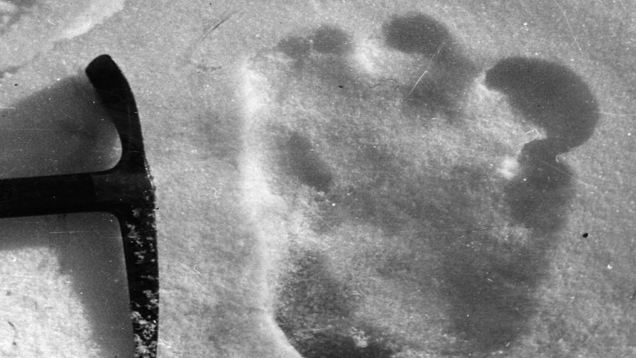 Снимка на отпечатък от стъпалото на Йети, направена на 13 декември 1951 г. близо до Еверест