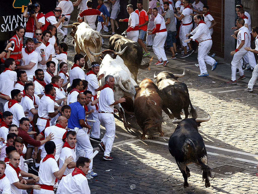 Девет дни бикове ще преследват жителите и гостите на Памплона по улиците