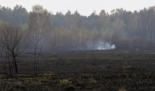 Угасиха пожара в торфените полета около Чернобил