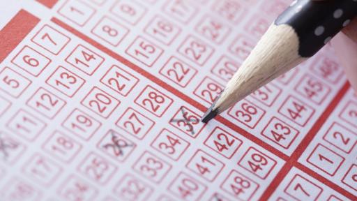  Смениха цялото управление на Спортния тотализатор 