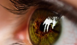 Окото възприема цветовете различно през лятото и зимата