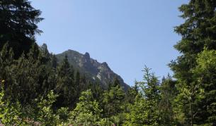 Издирват младеж, изчезнал в района на Черни връх