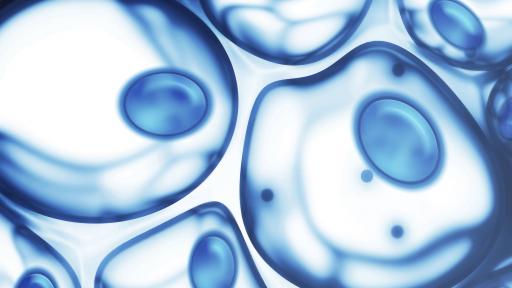  Вероятно откриха лекарство против остаряването 