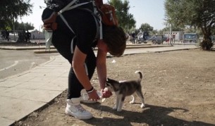 Аслан дава вода на Роуз