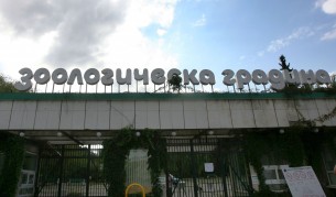 Днес: Празник в столичния зоопарк