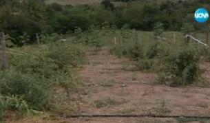 Земеделци излизат на протест