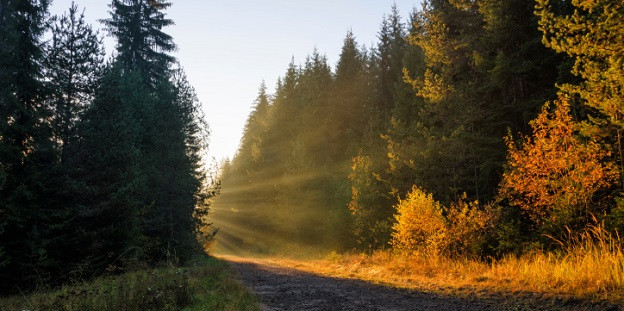 Дневен хороскоп за 29.09. - снимка 7