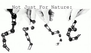 Първи стъпки в сътворението