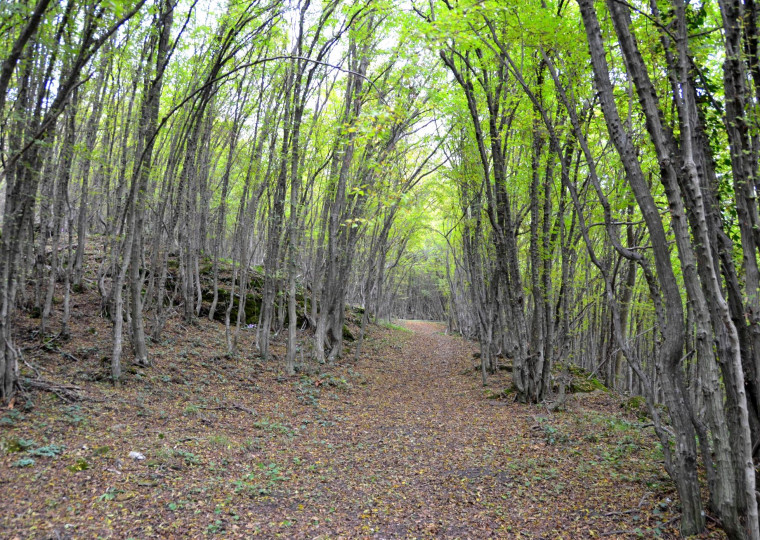 Дневен хороскоп за 29.09. - снимка 4