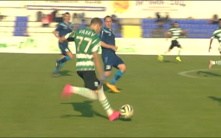 Страхотното воле на Бурабиа в мрежата на Монтана