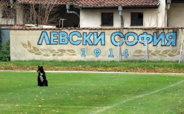 СНИМКИ: И куче гледа тренировката на Левски