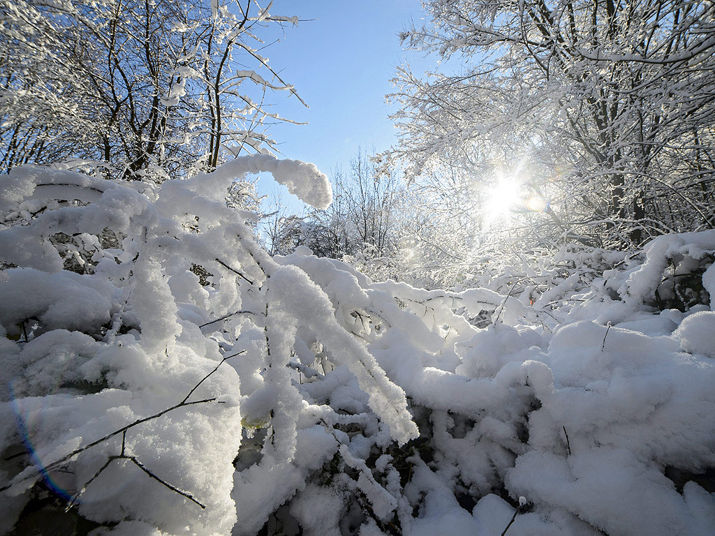 Сняг покрива клони на дървета в покрайнините на Шалготарян, Унгария