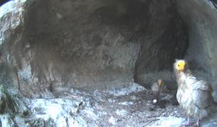 Евакуация в Провадия заради надвиснали скали