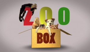 Сладки и забавни кучета