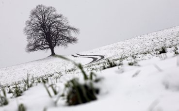 Зимата дойде