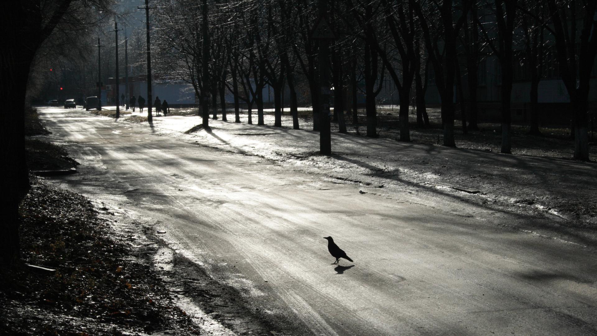 Черният лед не може да бъде видян и предвиден Той