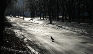 "Черен лед". Пазете се от невидимата заплаха на пътя