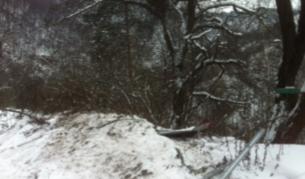 Шофьор качи кола на дърво