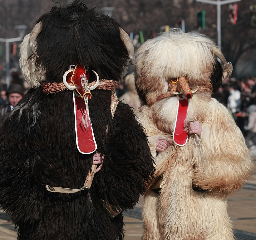 50-ти Фестивал Сурва Перник