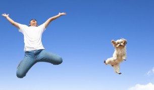 Топ 5 на най-лудите глави за 2015 г.