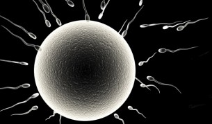 Революция: Роди се бебе с ДНК от трима родители