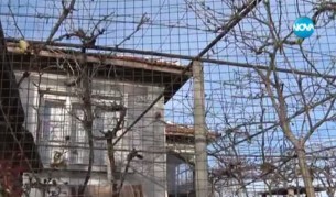 Жестоко убийство край Стара Загора