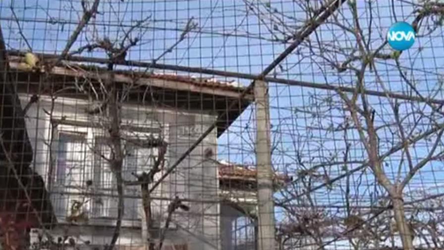 Жестоко убийство край Стара Загора